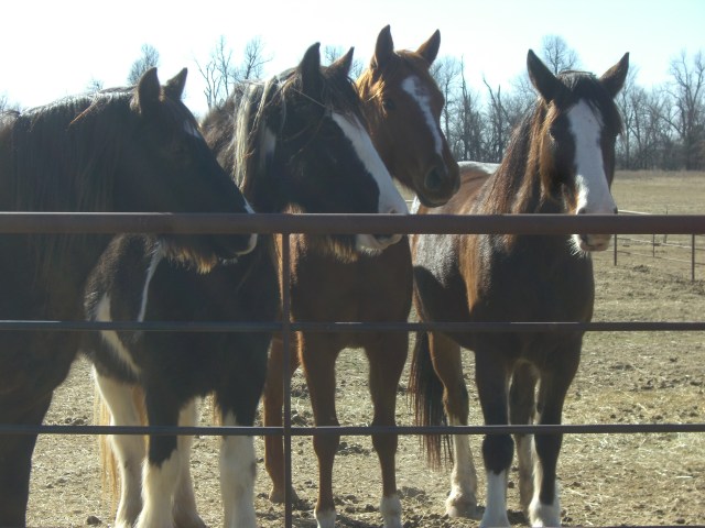 A winter day with sun!